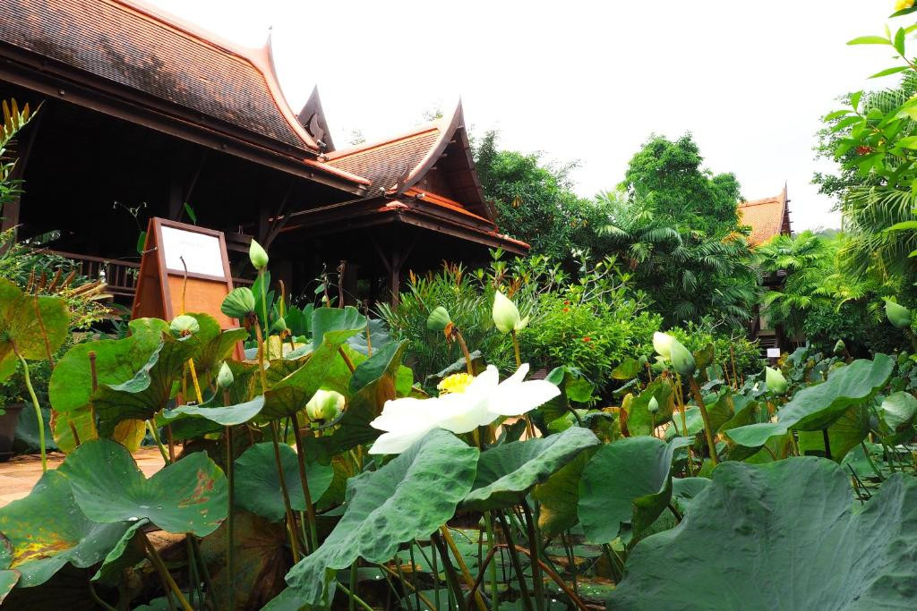 KHAOLAK BHANDARI RESORT — фото 17