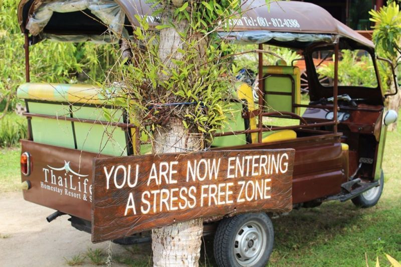 THAILIFE WELLNESS & MEDITATION RESORT (EX. THAILIFE HOMESTAY RESORT & SPA) — фото 16