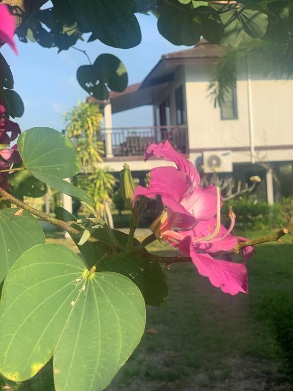 THE HIP RESORT AT KHAOLAK — фото 15