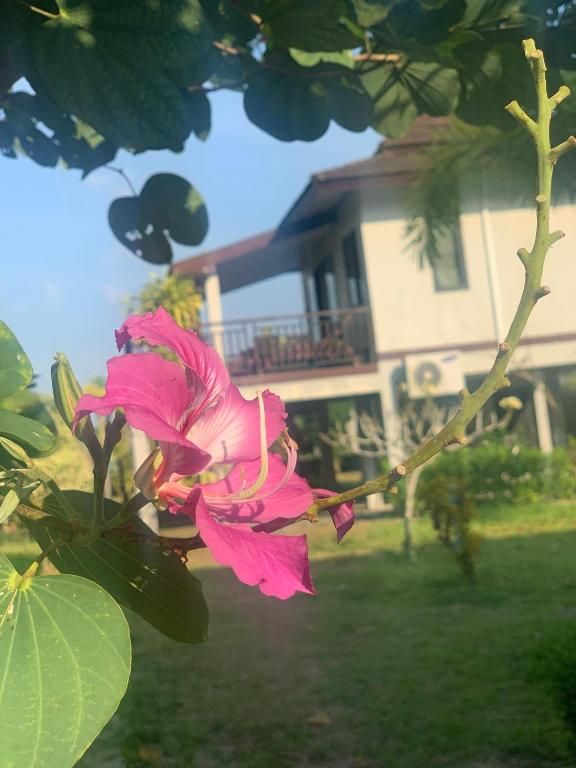 THE HIP RESORT AT KHAOLAK — фото 16
