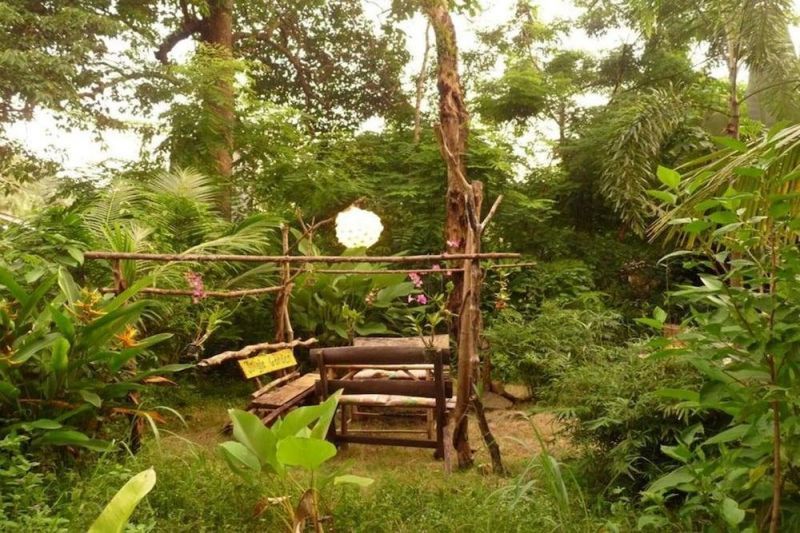 JUNGLE GARDEN — фото 15