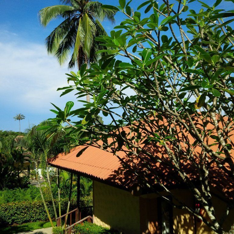PARADISE BUNGALOWS — фото 12