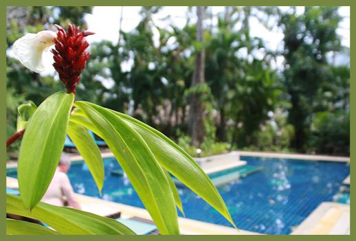AO NANG PREMIER RESORT (EX. TROPICAL HERBAL) — фото 6