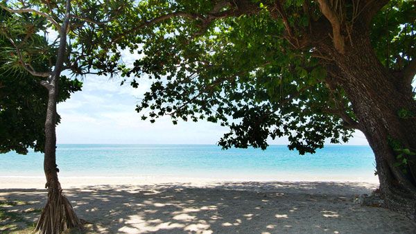 LANTA RESORT — фото 3