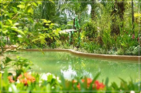 NATTHA WAREE HOTSPRING — фото 15