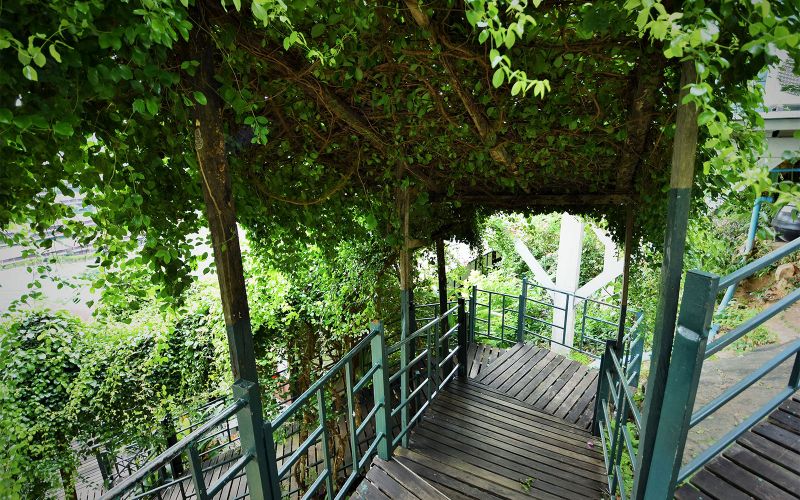 PHI PHI ARBOREAL RESORT — фото 6