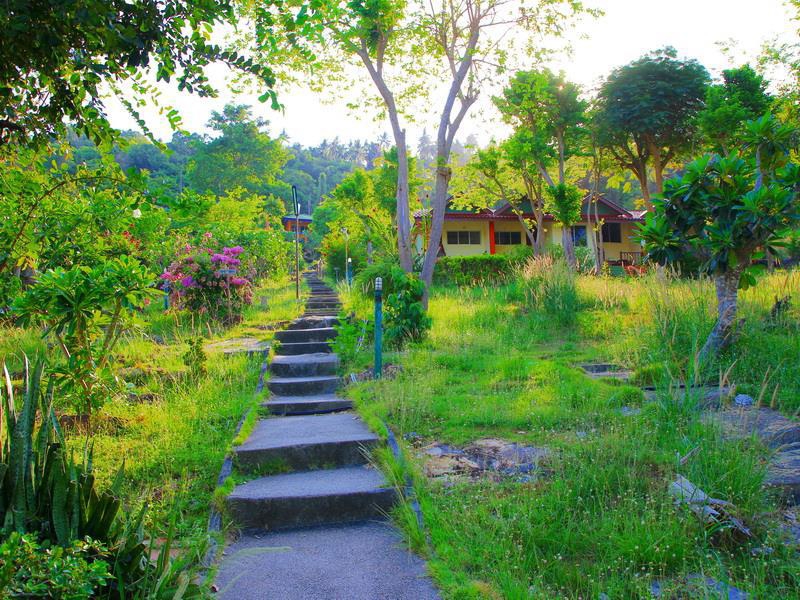 PHI PHI VIEWPOINT RESORT — фото 15
