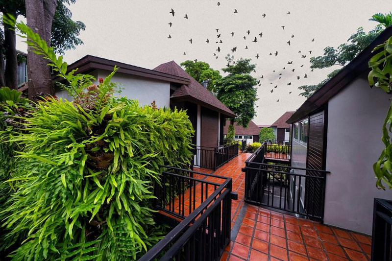THE CLIFF ELEGANCE RESORT AO NANG — фото 11