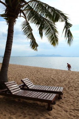 CASUARINA JOMTIEN — фото 4