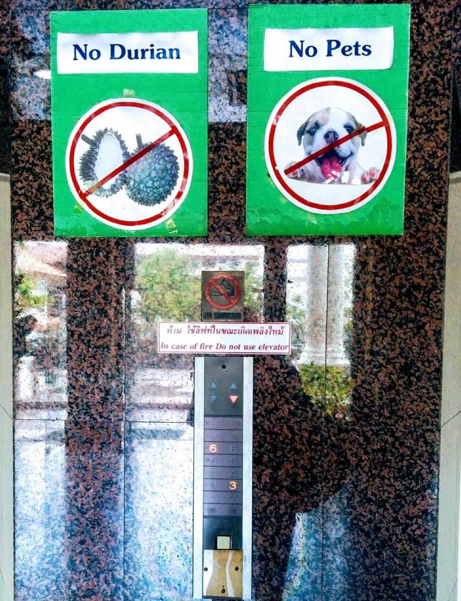 CENTURY PATTAYA HOTEL — фото 10