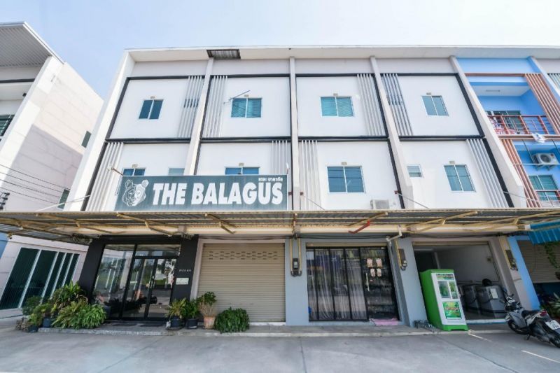 OYO 497 THE BALAGUS HOTEL — фото 15