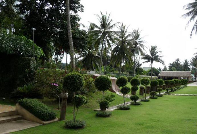 ROBIN HOOD RESORT — фото 11