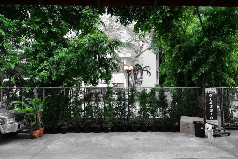 SEEDLING HOUSE — фото 17