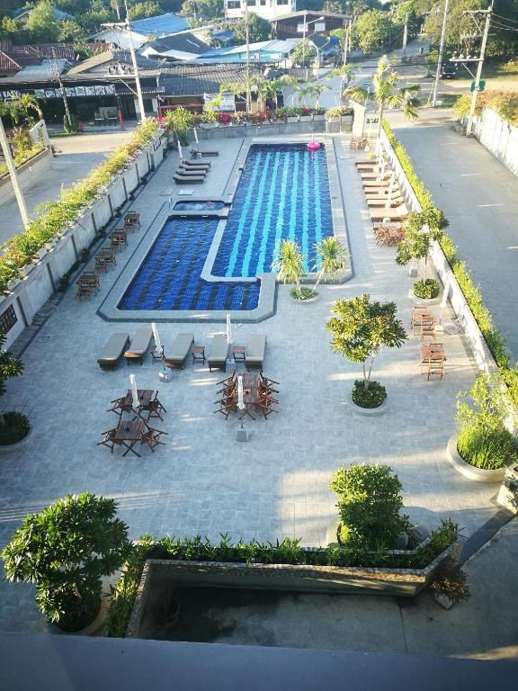 THE MANGROVE — фото 7