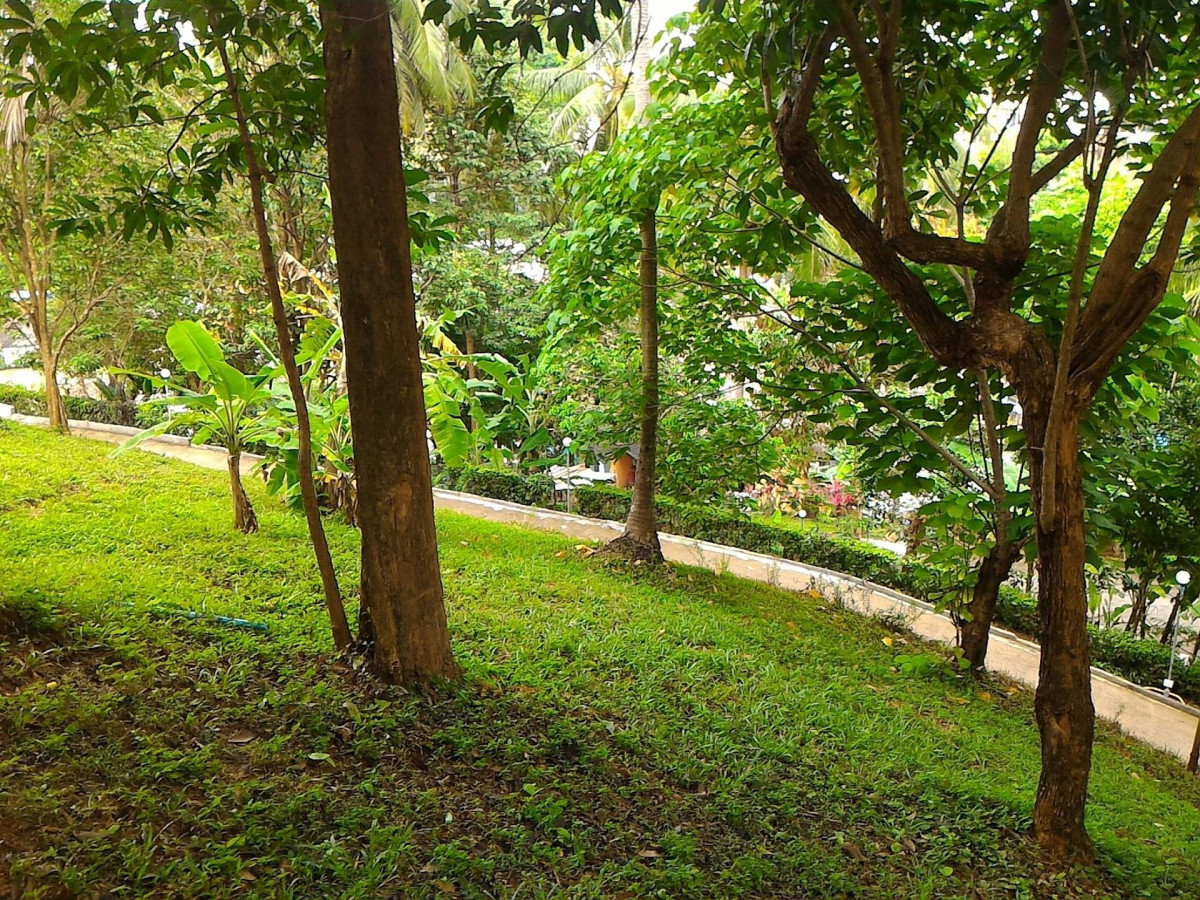 BAAN KAWKAEW KATA — фото 11