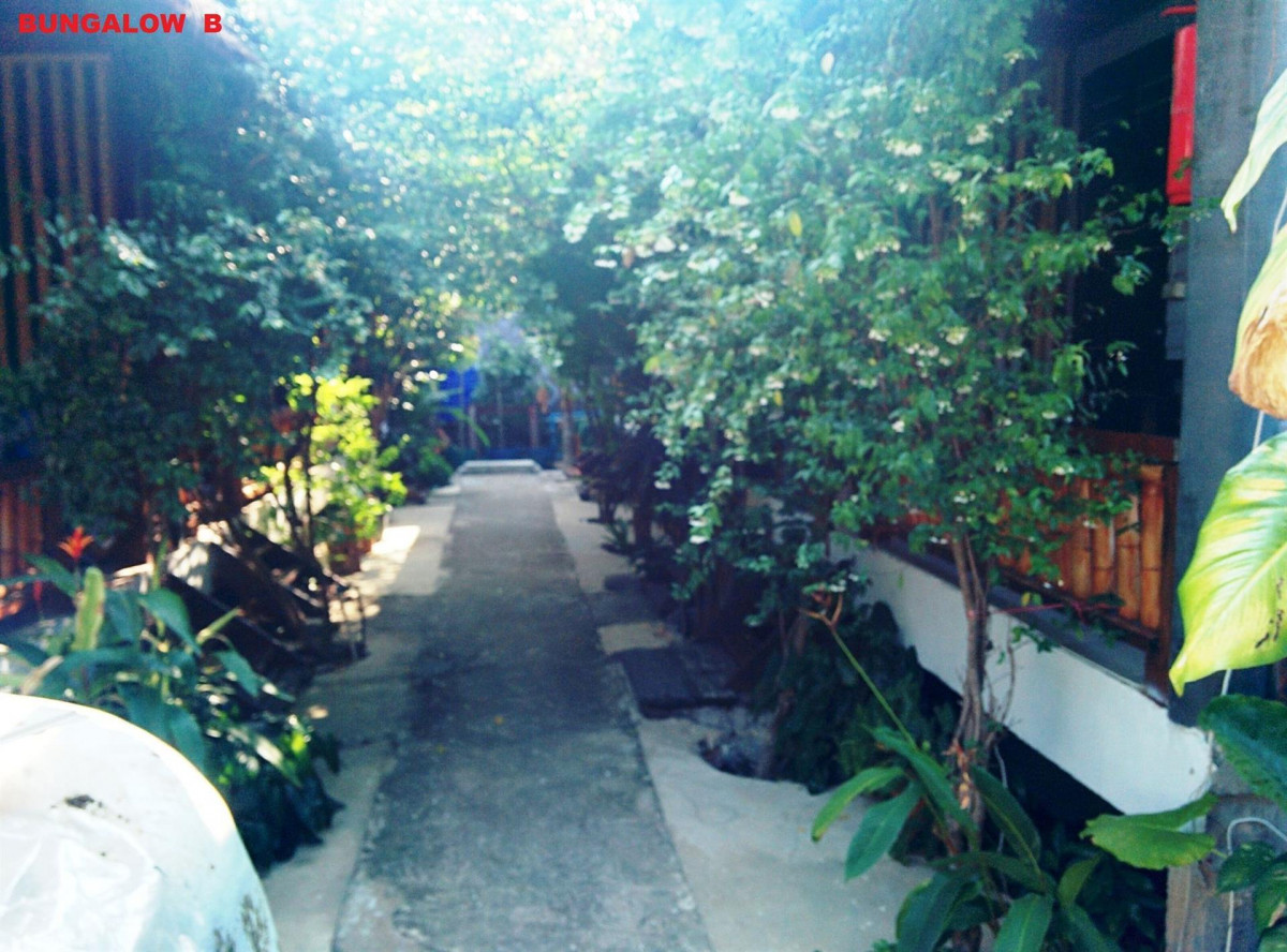 BAMBOO VILLAGE — фото 10