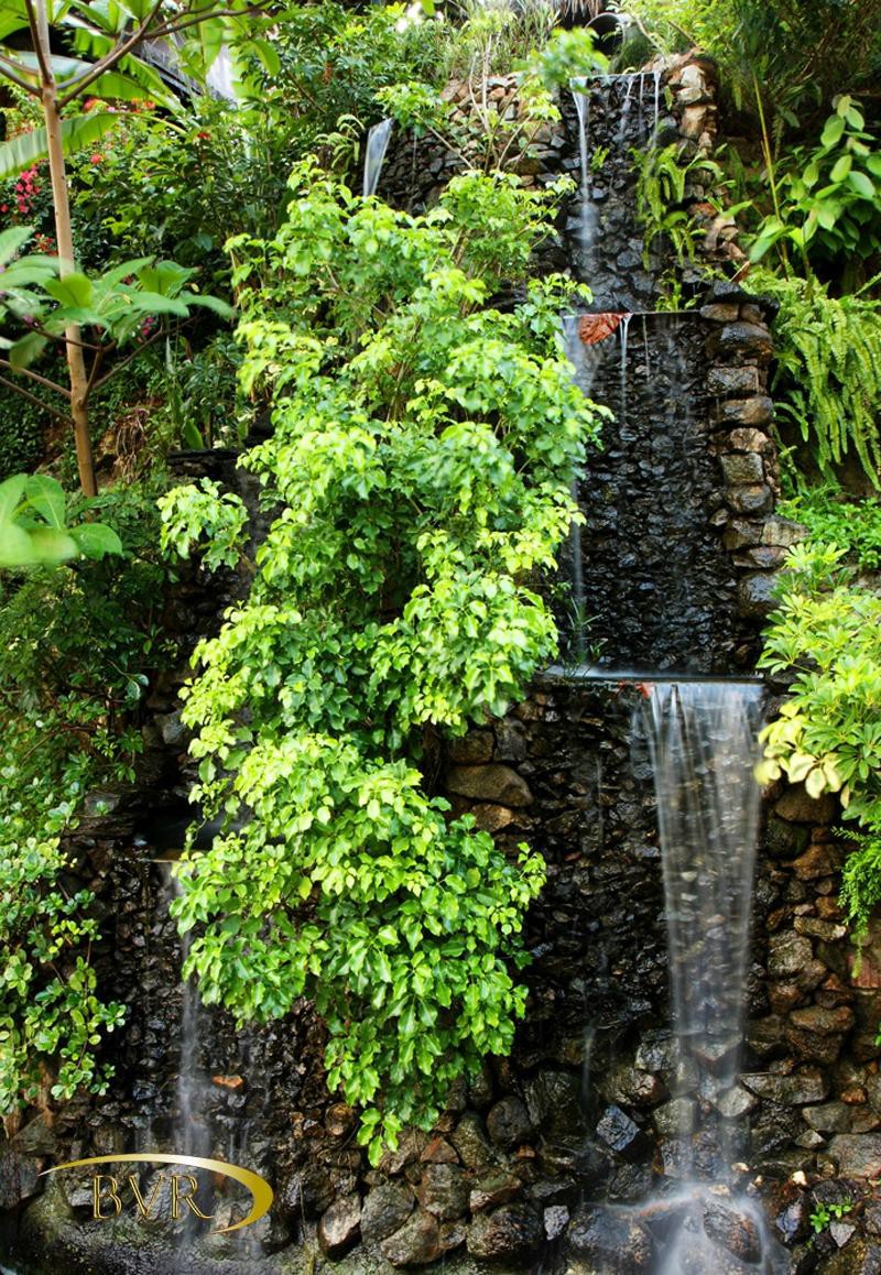 BOOMERANG VILLAGE RESORT — фото 15
