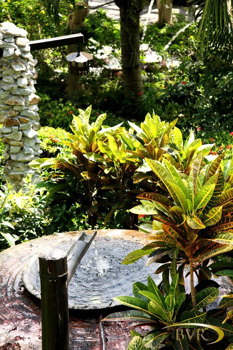 BOOMERANG VILLAGE RESORT — фото 17