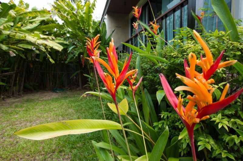 HIMAPHAN BOUTIQUE RESORT — фото 4