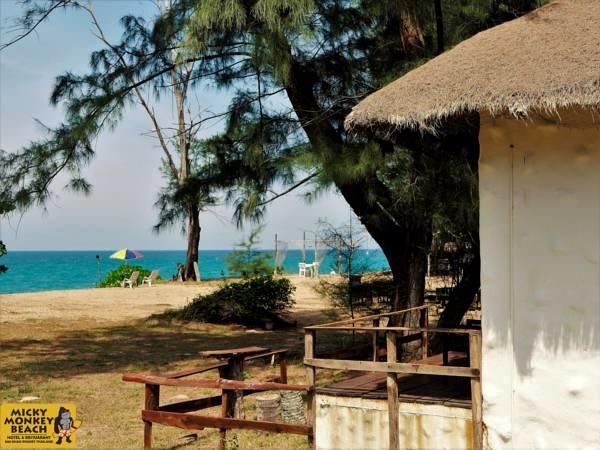 MICKY MONKEY BEACH — фото 4