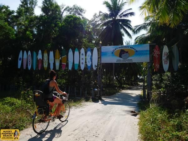 MICKY MONKEY BEACH — фото 11