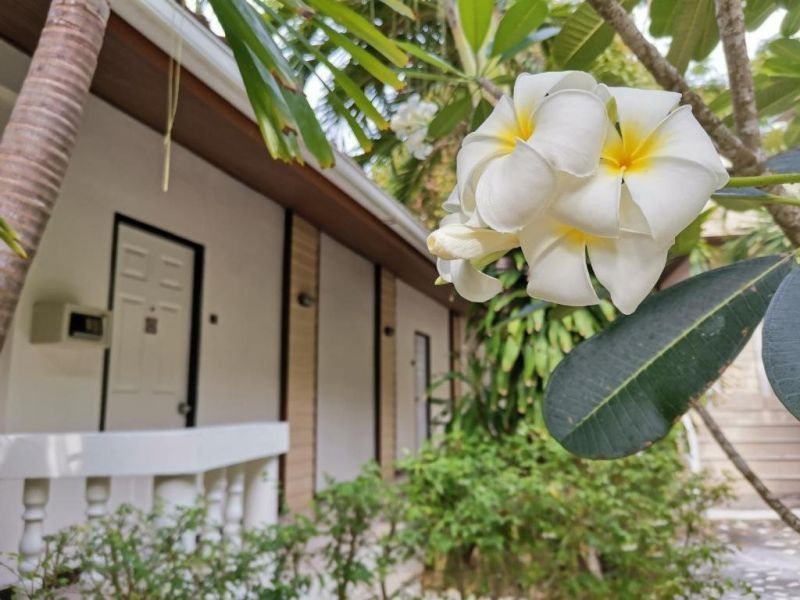 ON THE HILL KARON RESORT — фото 11