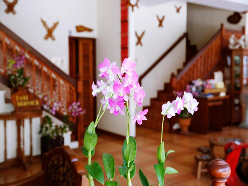 ORCHID HOUSE — фото 16