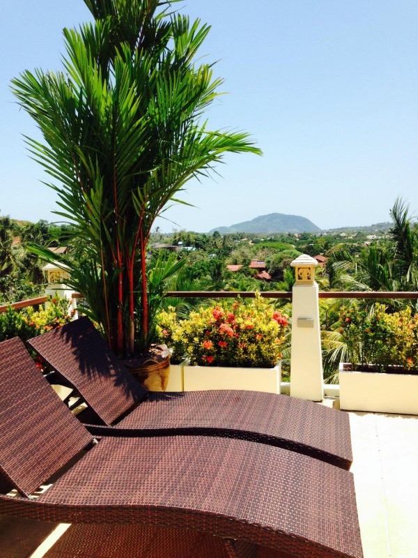 PALM OASIS BOUTIQUE HOTEL — фото 12