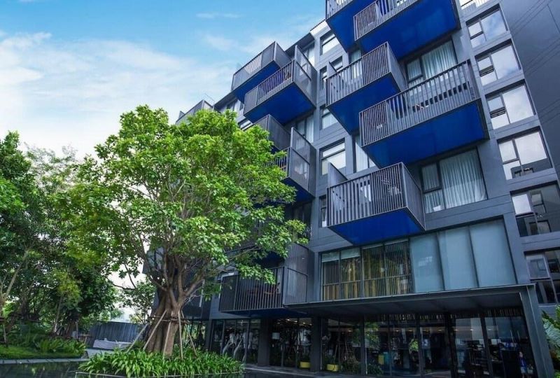 THE DECK PATONG BY DREAM — фото 17