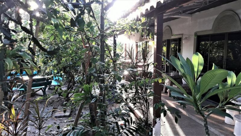 THE GUEST HOUSE — фото 15