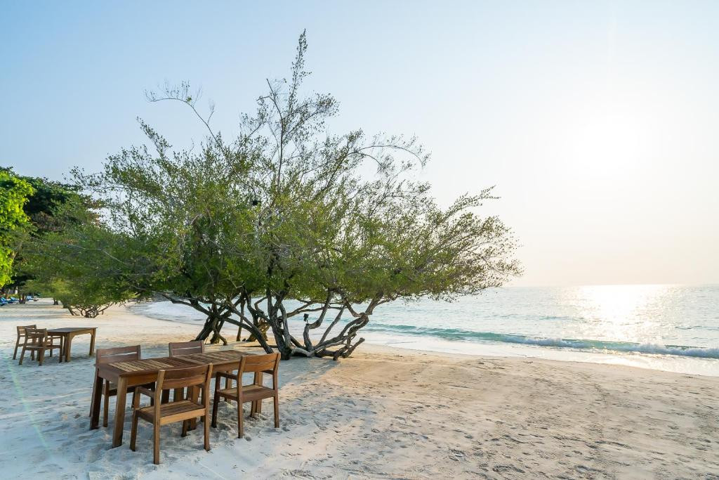 PARADEE RESORT — фото 10