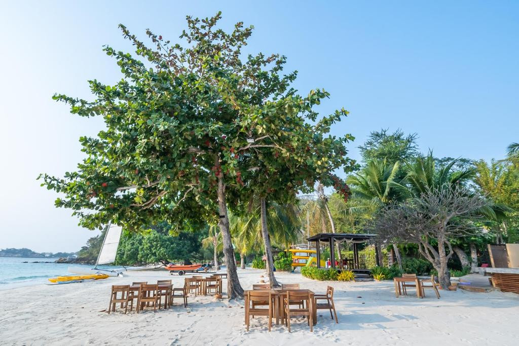 PARADEE RESORT — фото 11