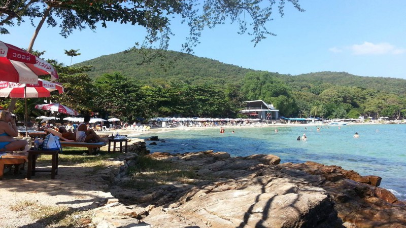 SAMED VILLA RESORT — фото 16
