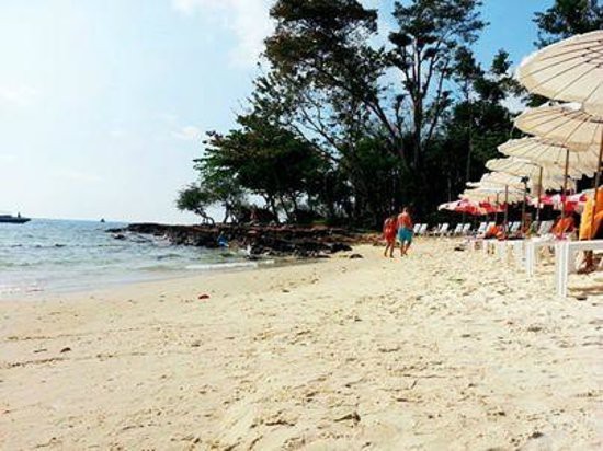 SAMED VILLA RESORT — фото 18