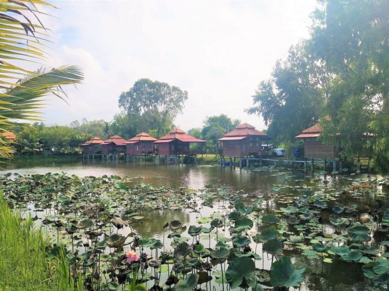 SAROCHA RESORT RAYONG — фото 16