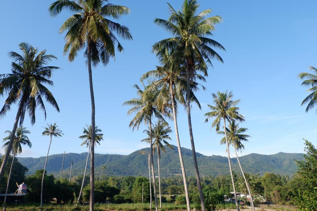 AMARIN SAMUI (EX. AMARIN VICTORIA RESORT) — фото 9