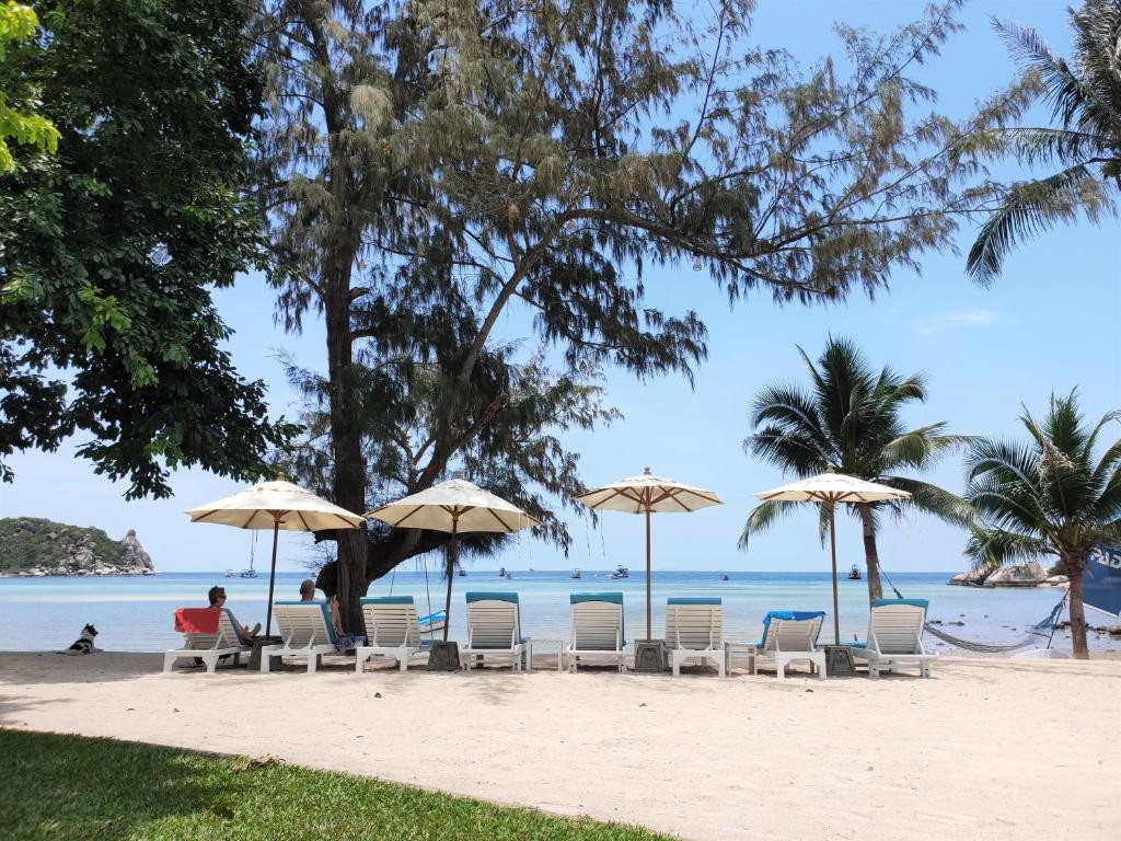 ASSAVA DIVE RESORT — фото 18