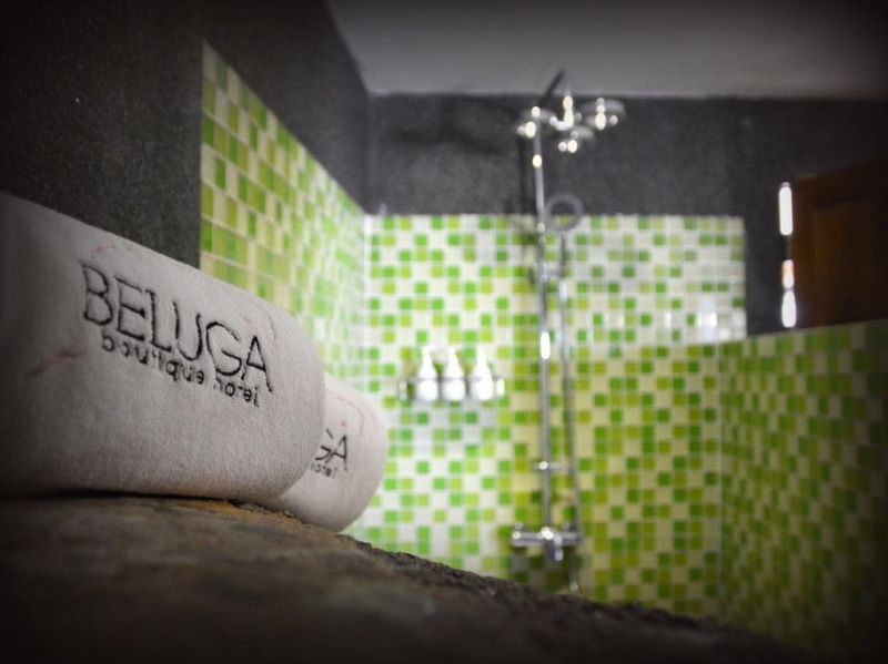 BELUGA BOUTIQUE HOTEL — фото 5