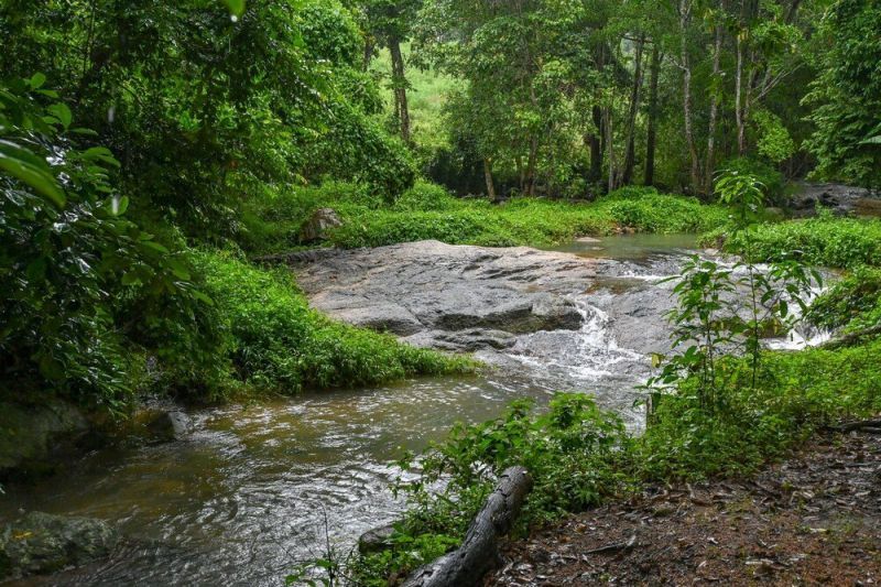 CASCADE TARA — фото 12