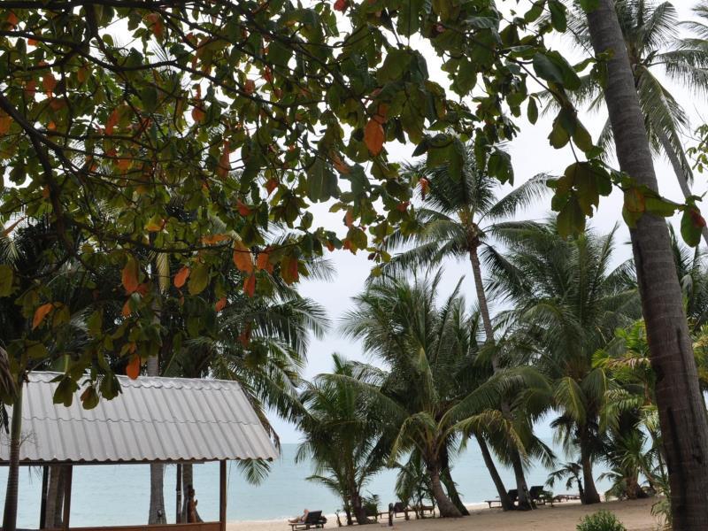 COCO HUT BEACH RESORT — фото 8