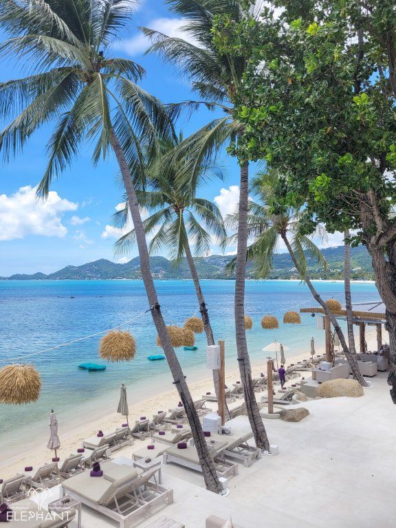 ELEPHANT BEACH CLUB RESORT — фото 2