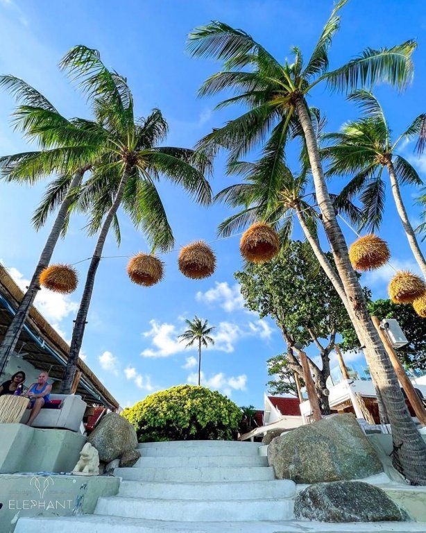 ELEPHANT BEACH CLUB RESORT — фото 6