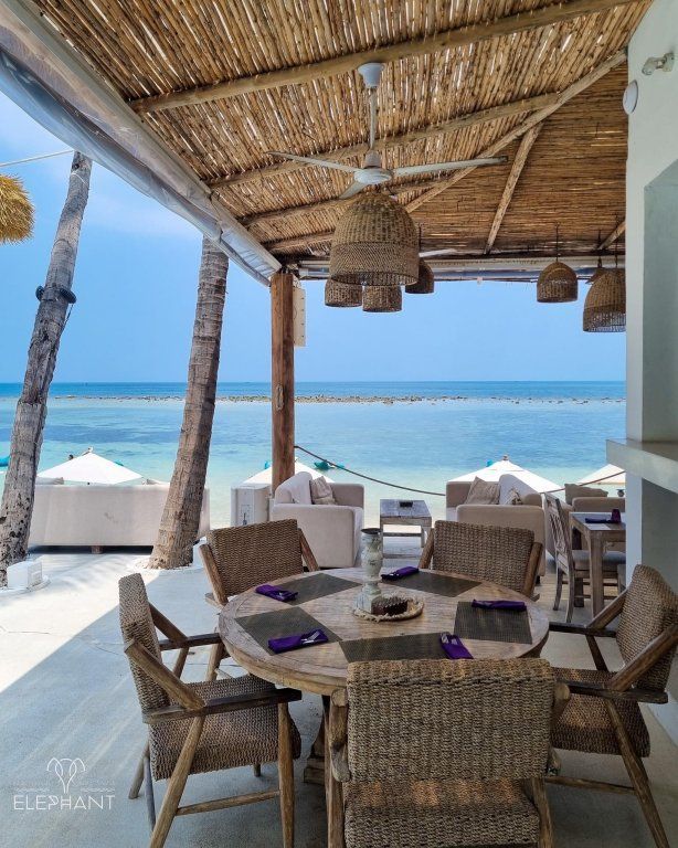 ELEPHANT BEACH CLUB RESORT — фото 9
