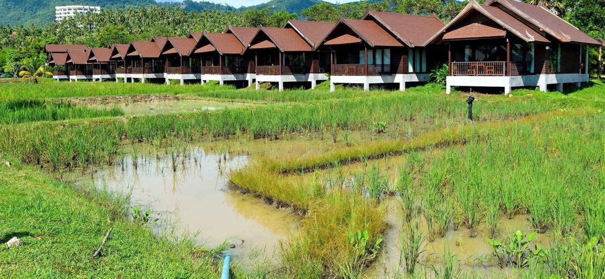 FARMES VILLA (EX. THE FARMER BOUTIQUE RESORT & SPA) — фото 18