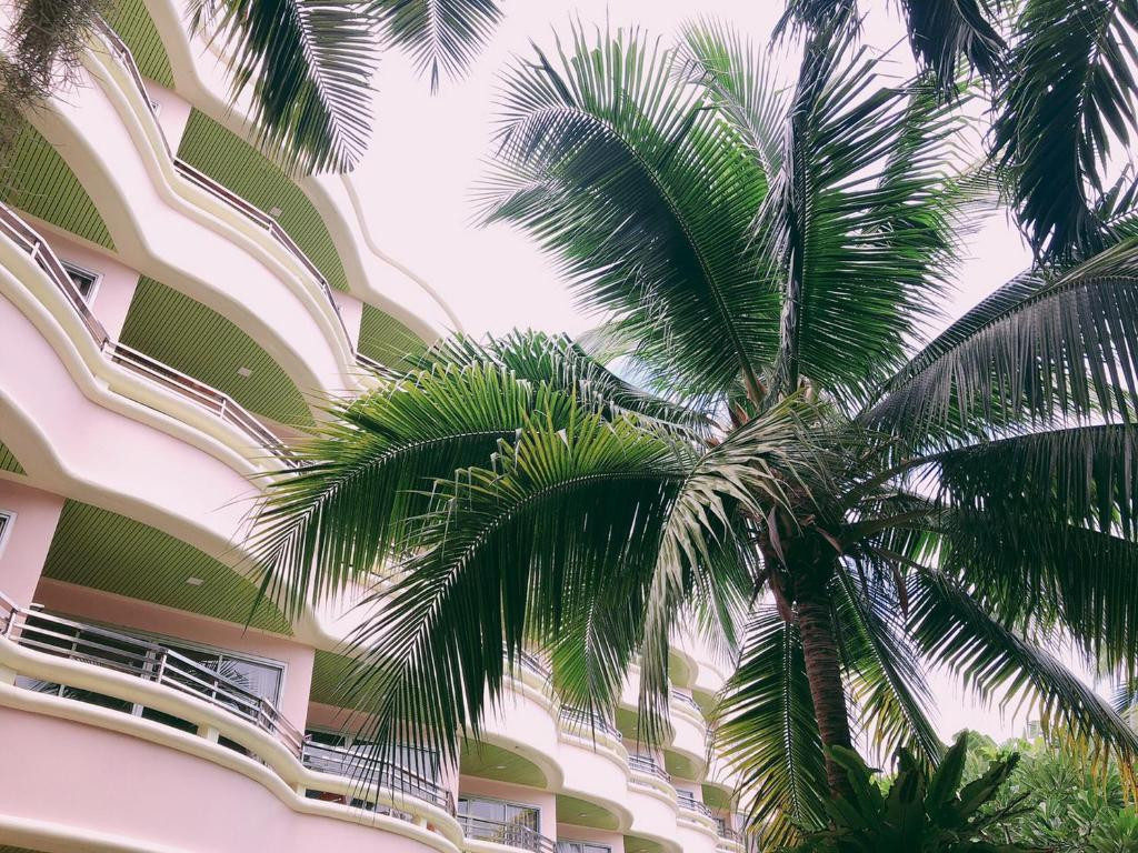 MATCHA SAMUI RESORT (EX. CHABA SAMUI RESORT) — фото 12