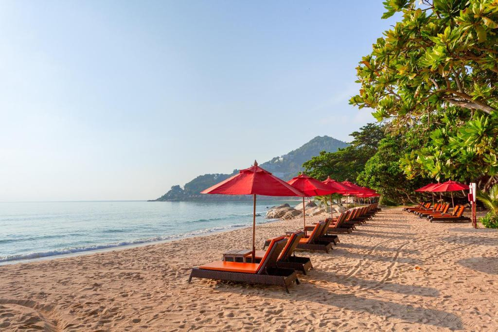 NEW STAR BEACH RESORT — фото 2