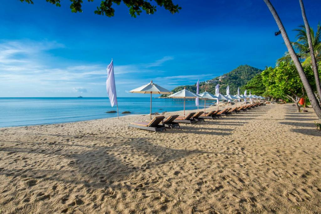 NEW STAR BEACH RESORT — фото 15