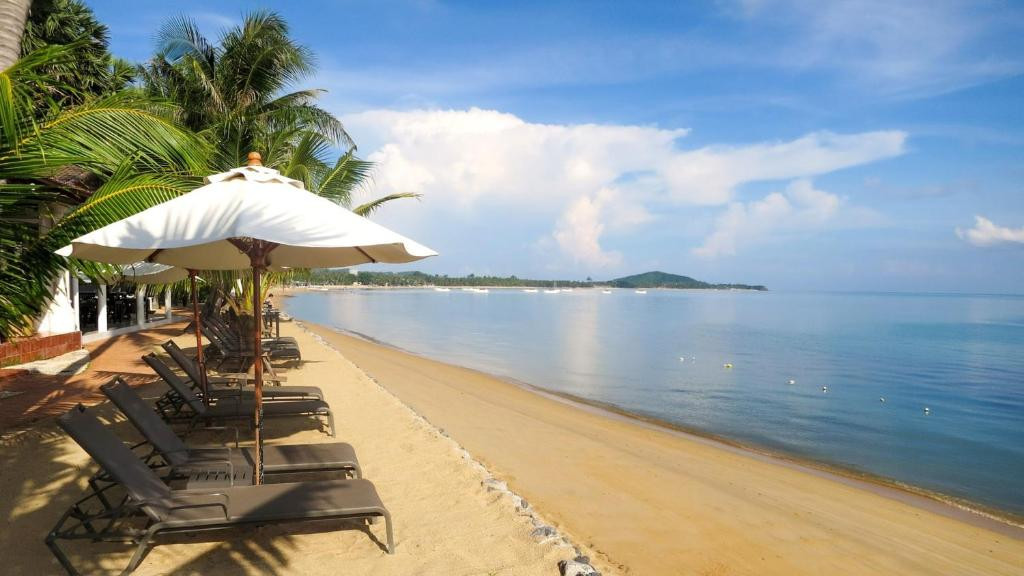 PARADISE BEACH RESORT — фото 11