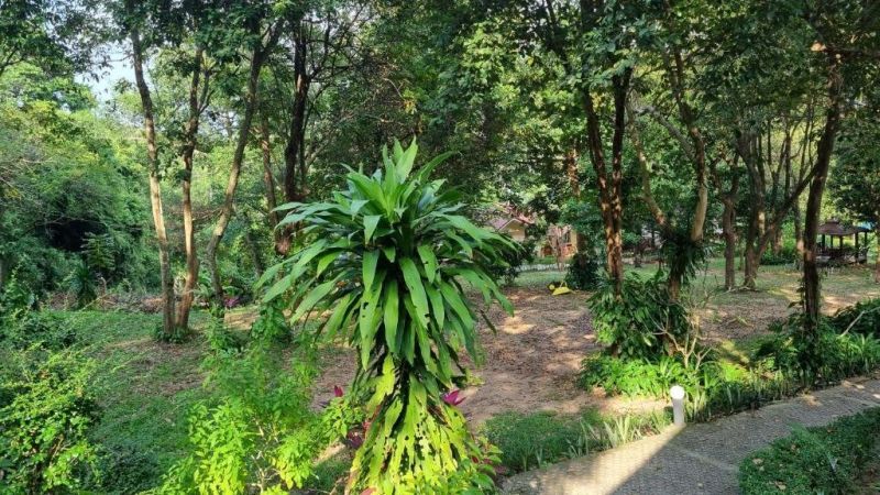 PAWPAW RESORT — фото 16