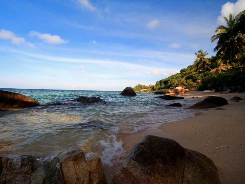 PINNACLE KOH TAO DIVE RESORT — фото 18